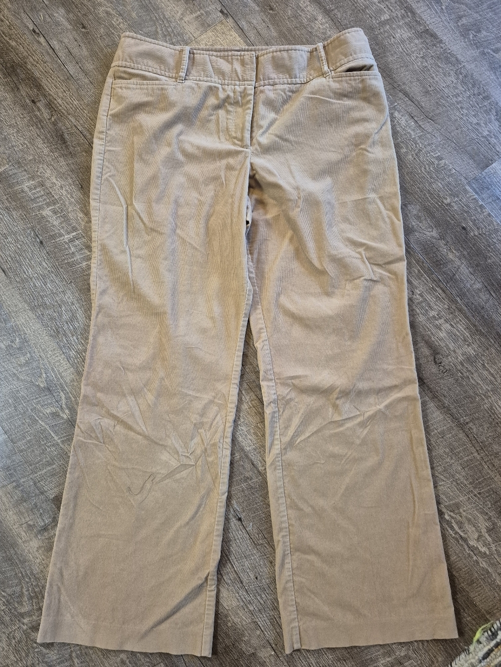 Brown Tan Pants Size 14 , Ann Taylor LOFT